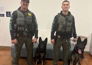 Santa Barbara Sheriff’s Office Welcomes New K-9 Recruits